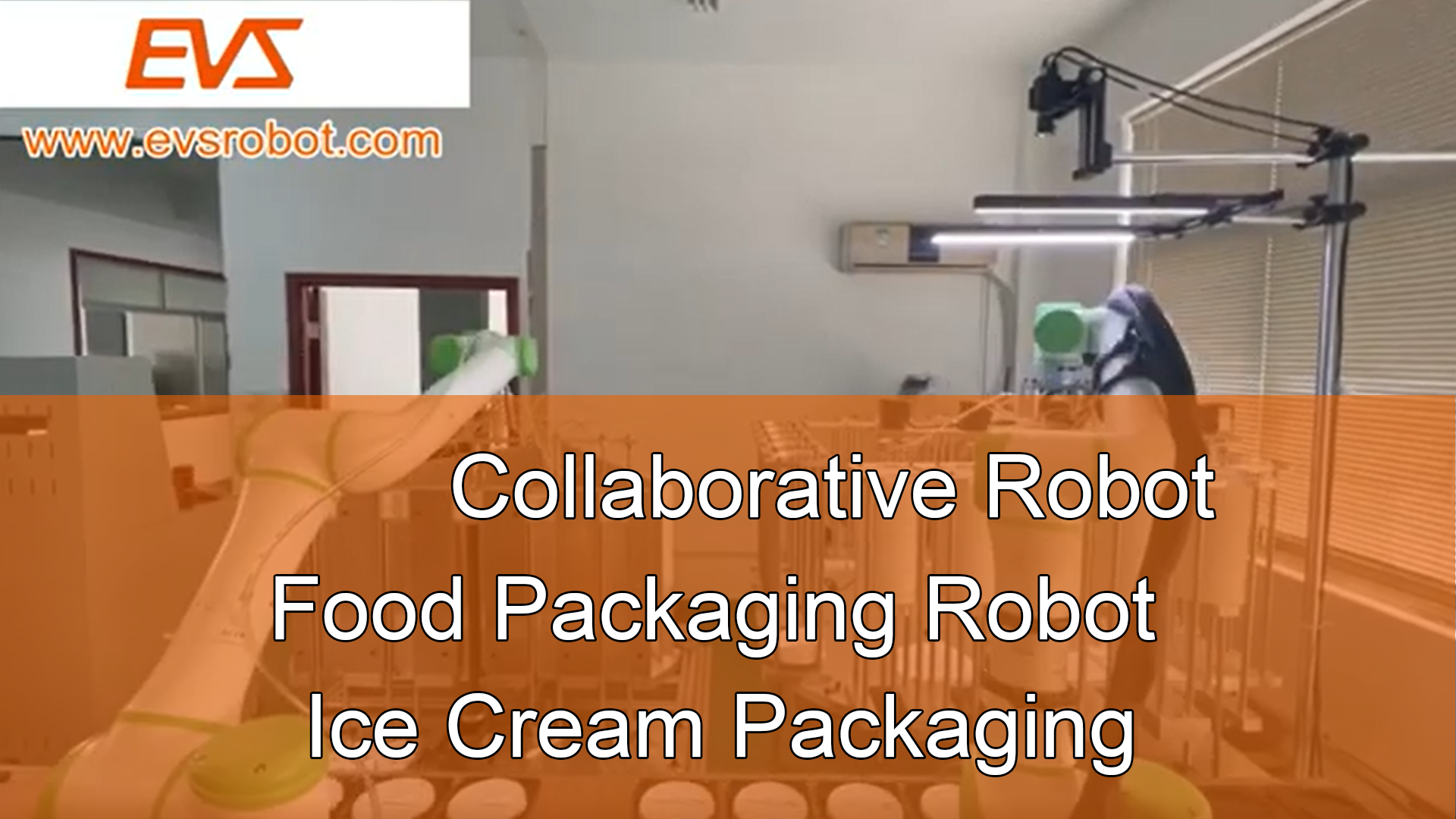 Collaborative Robot |Food Packaging Robot| Ice Cream Packaging