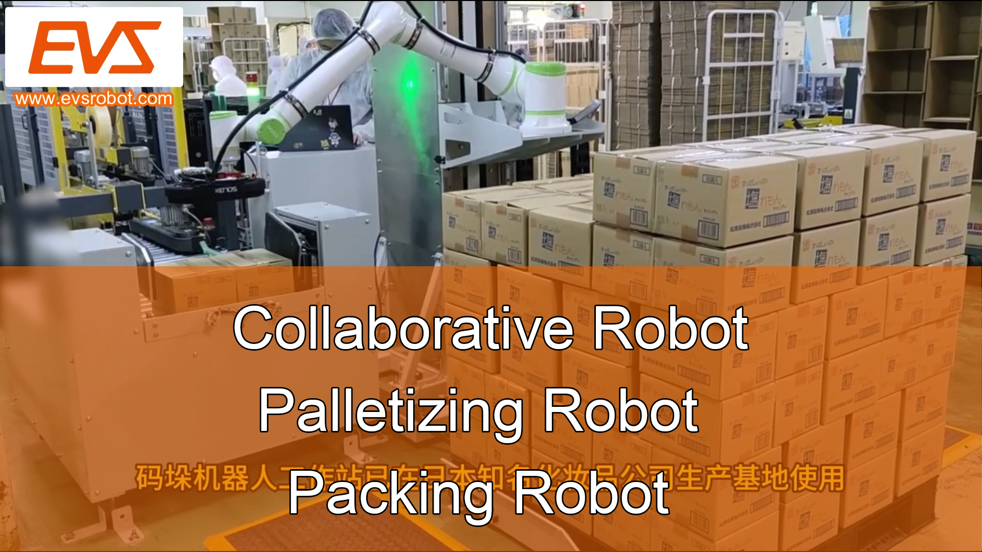 Collaborative Robot | Palletizing Robot | Packing Robot
