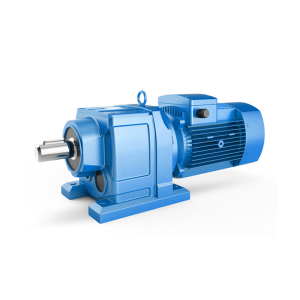 HSBW Series Gearmotors 1